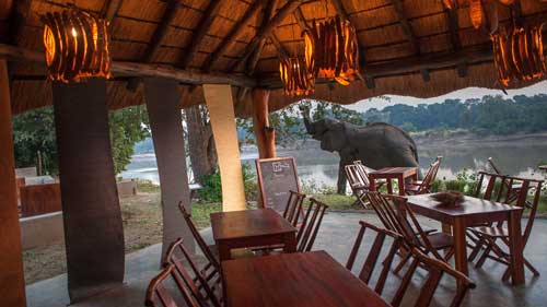 Track & Trail Camp - South Luangwa Zambia