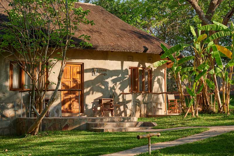 Wild Dogs Lodge - Lusaka Zambia