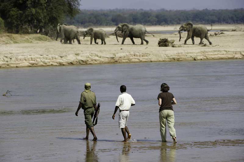 wandelsafari - South Luangwa Zambia