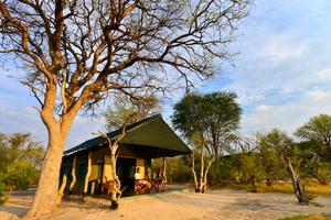 Bomani Safari Camp - Hwange Zimbabwe