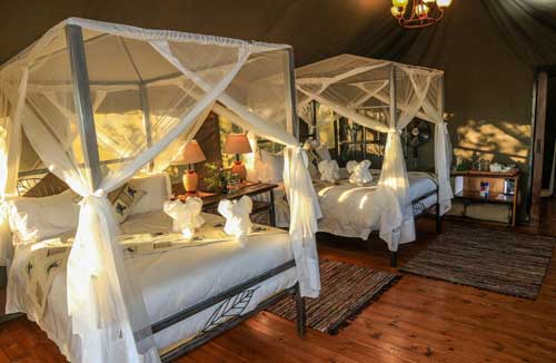 Bomani Safari Camp - Hwange Zimbabwe