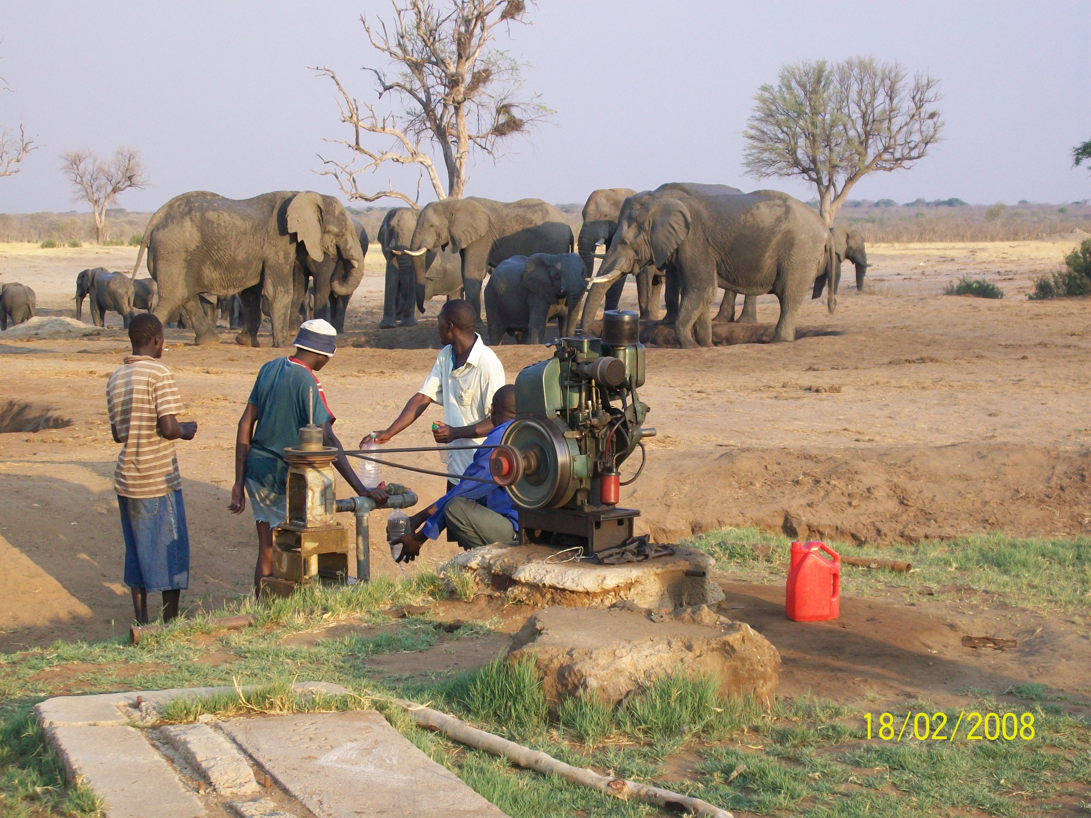 Bomani Safari Camp - Hwange Zimbabwe