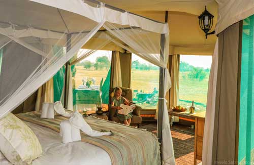 Bomani Safari Camp - Hwange Zimbabwe