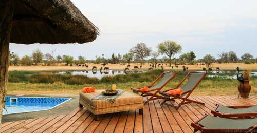 Bomani Safari Camp - Hwange Zimbabwe