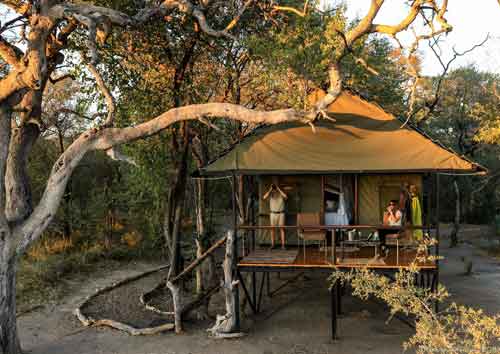 Bomani Safari Camp - Hwange Zimbabwe