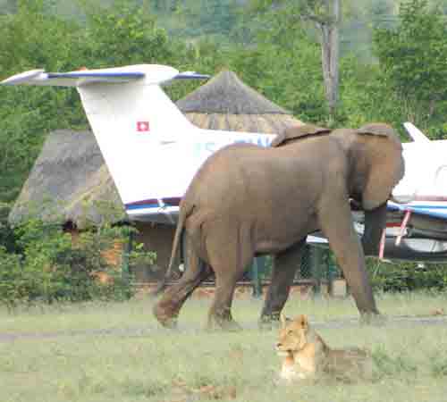 Bumi Hills - Matusadona Zimbabwe