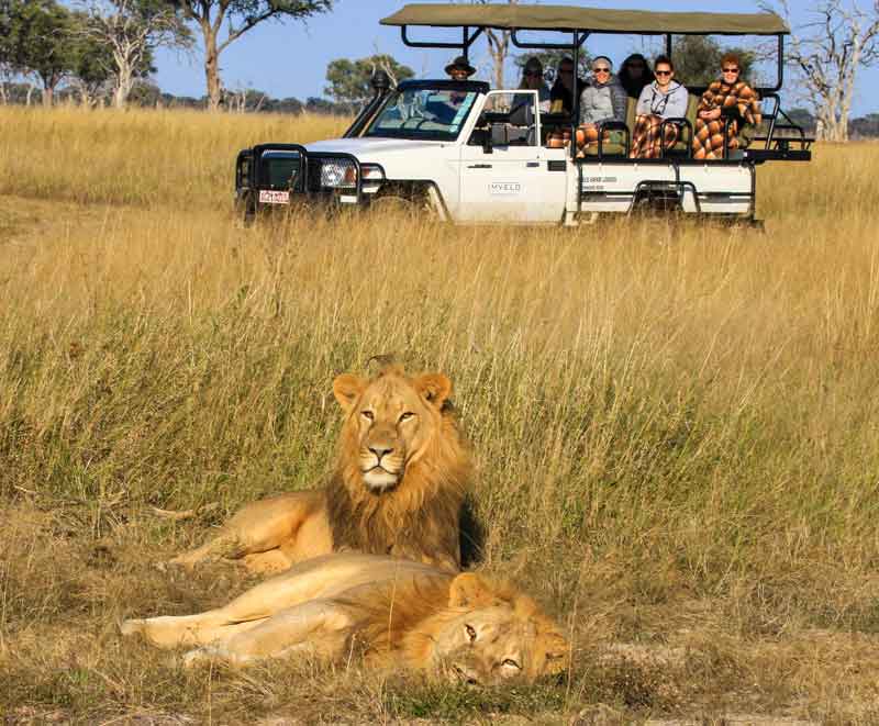 Camelthorn Lodge  - Hwange Zimbabwe