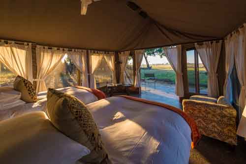 Davison Camp - Hwange Zimbabwe