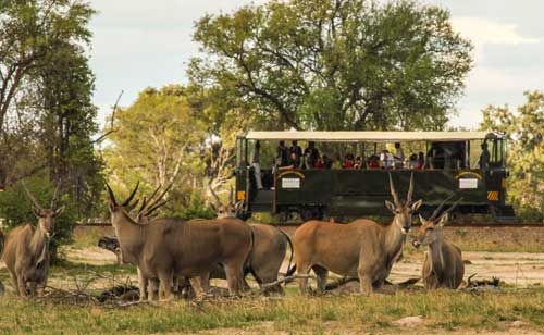 Elephant Express Train - Hwange Zimbabwe