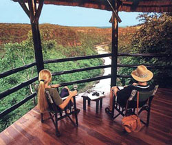 Gorges Lodge - Victoria Falls - Zimbabwe