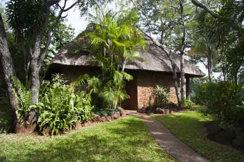 Gorges Lodge - Victoria Falls - Zimbabwe