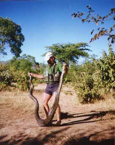 priv safari lake cruise - kariba Zimbabwe