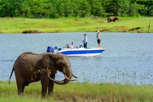 priv safari lake cruise - kariba Zimbabwe