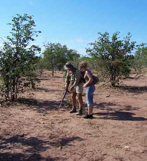 priv safari lake cruise - kariba Zimbabwe