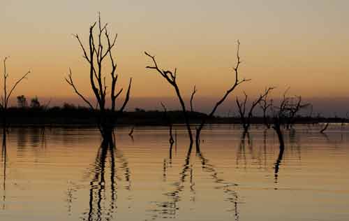 priv safari lake cruise - kariba Zimbabwe