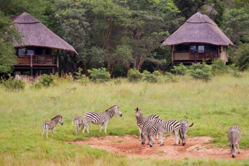 Ivory Lodge - Hwange Zimbabwe