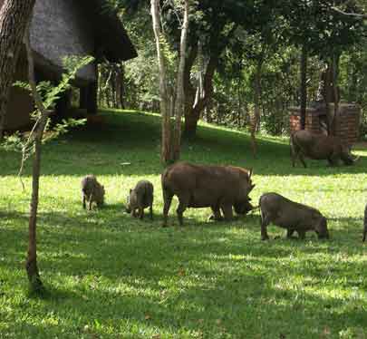 Lokuthula Lodge - Victoria Falls Zimbabwe