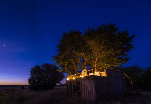 Little Makalolo - Hwange Zimbabwe