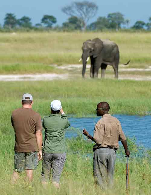 Little Makalolo - Hwange Zimbabwe