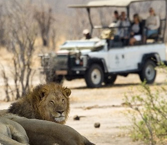 Little Makalolo - Hwange Zimbabwe