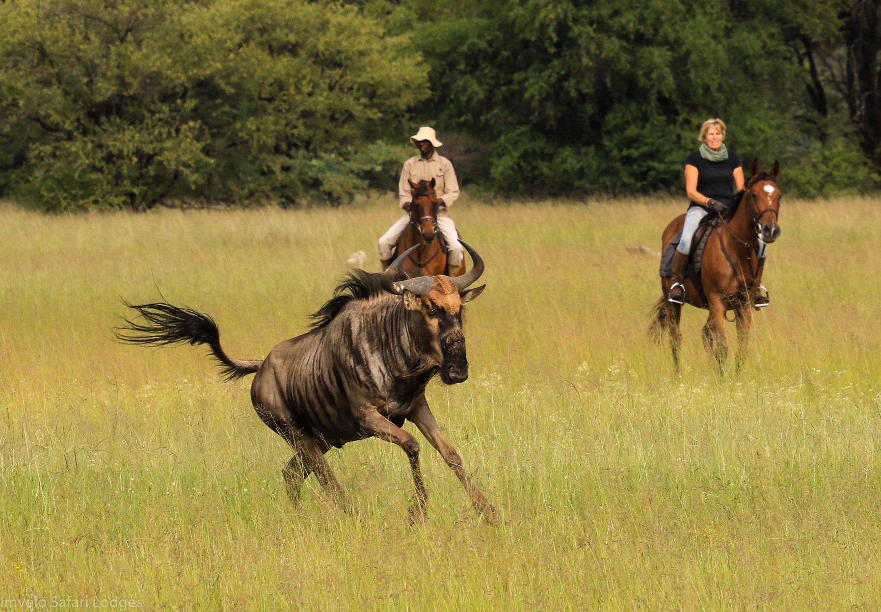 Camelthorn Lodge  - Hwange Zimbabwe