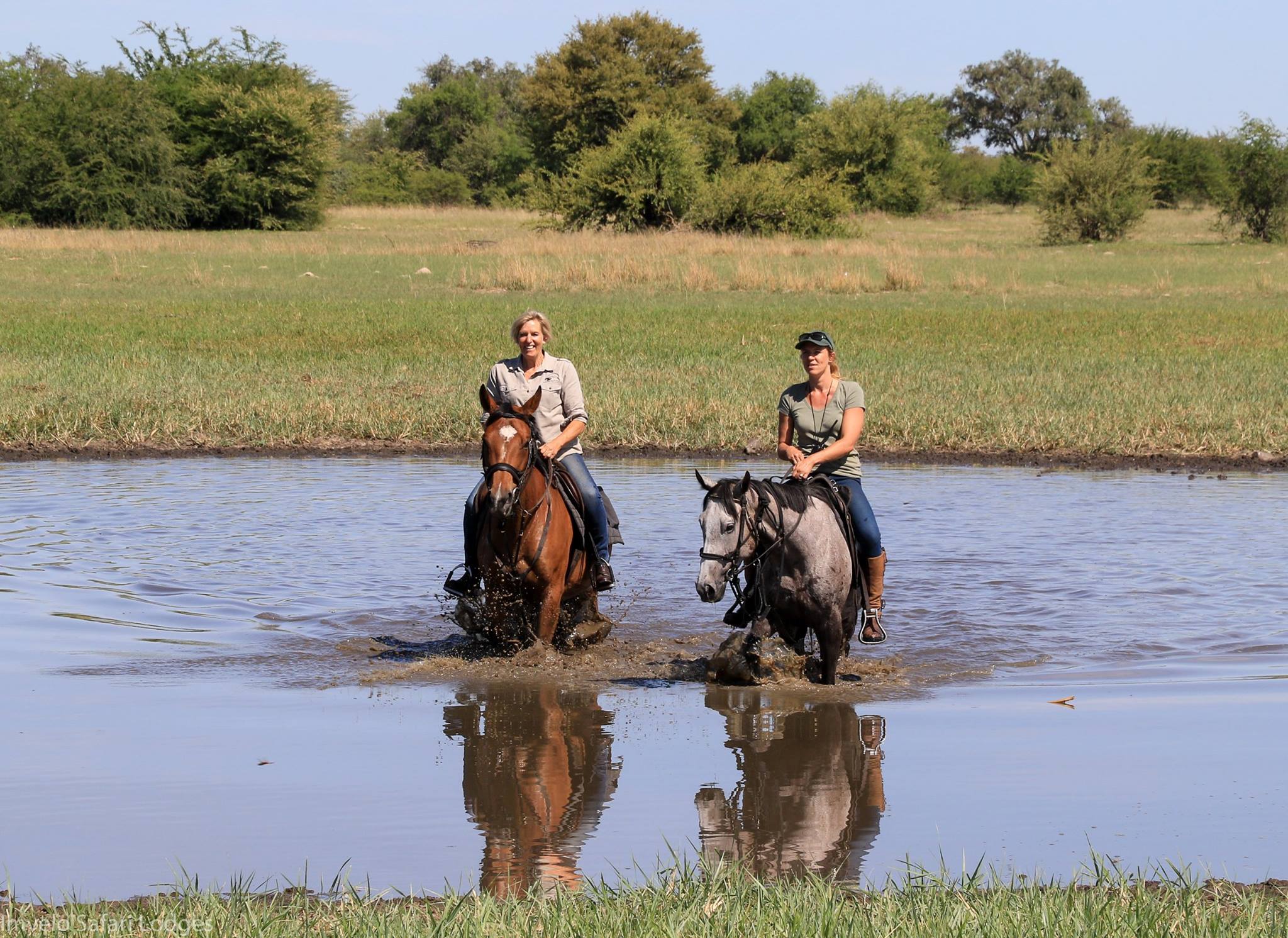 Vintage Camp - Hwange Zimbabwe