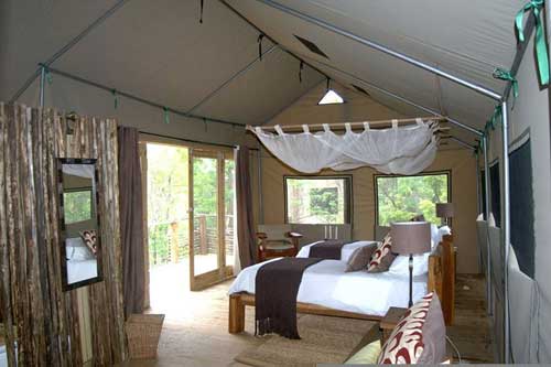 Miombo Safari Camp - Hwange Zimbabwe