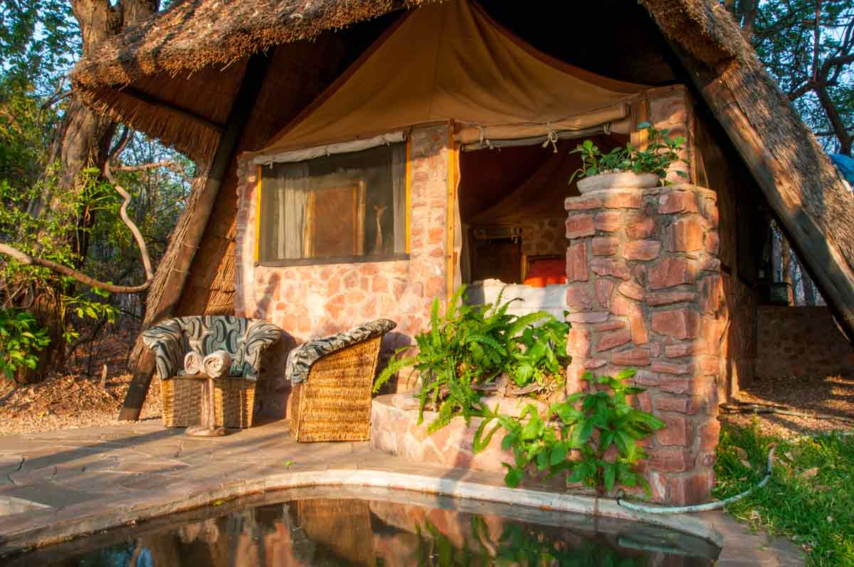 Musango Safari Camp - Matusadona Zimbabwe