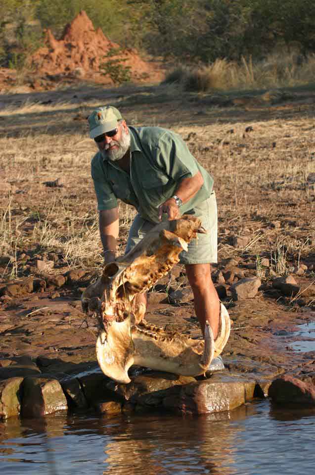 Musango Safari Camp - Matusadona Zimbabwe