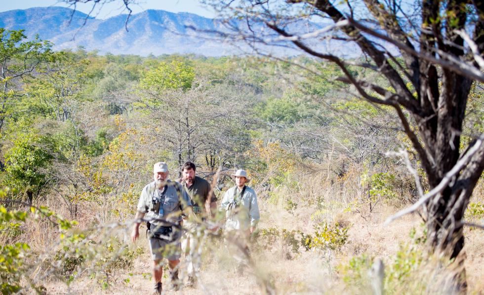 Musango Safari Camp - Matusadona Zimbabwe