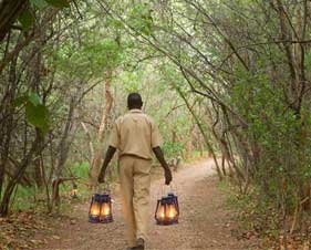 Musango Safari Camp - Matusadona Zimbabwe