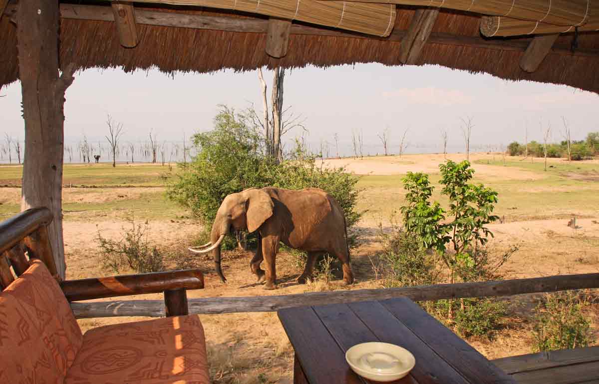 Rhino Safari Camp - Matusadona Zimbabwe