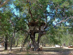 Sable Sands - Hwange Zimbabwe