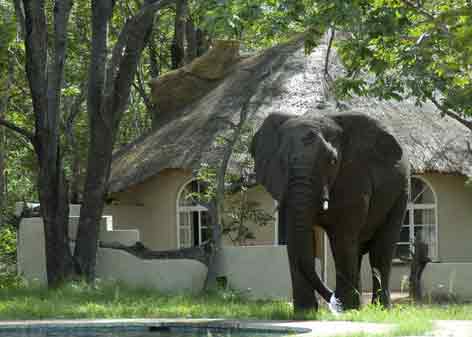 Sable Sands - Hwange Zimbabwe