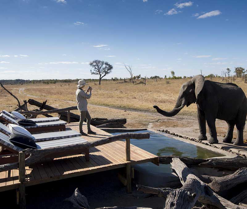 Somalisa Expeditions - Hwange Zimbabwe