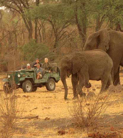 Somalisa Expeditions - Hwange Zimbabwe