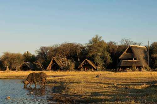 The Hide Safari Camp - Hwange Zimbabwe