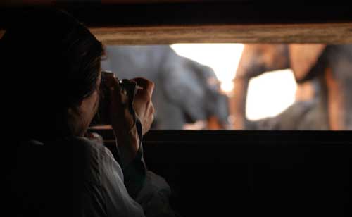 The Hide Safari Camp - Hwange Zimbabwe