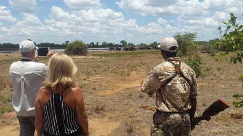 Camp Chipinda Gonarezhou - Zimbabwe