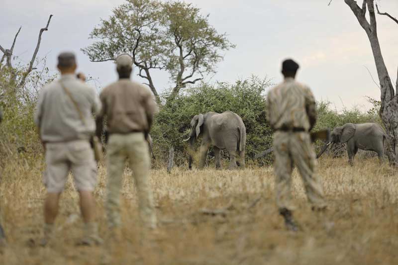 wandelsafari Tanzania met parkranger