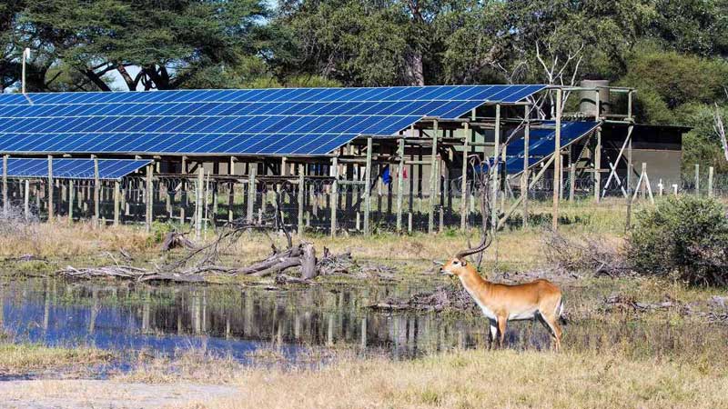 Onze Werkzijze - Zimba Safaris