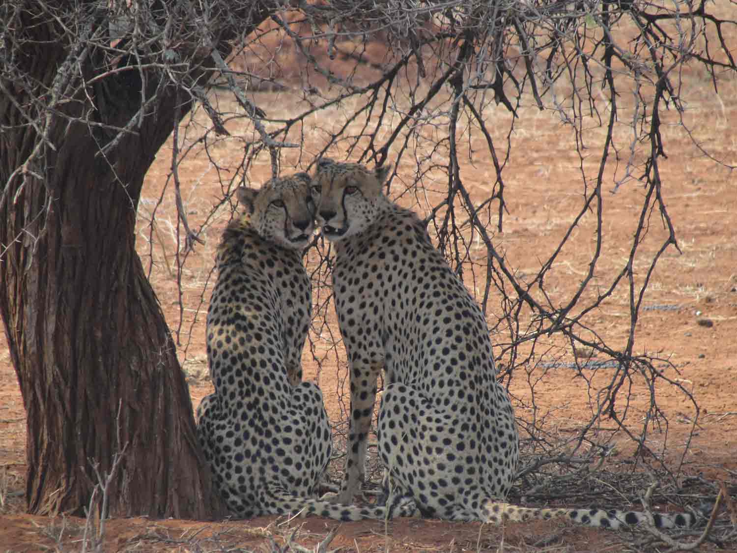 Gonarezhou Zimbabwe