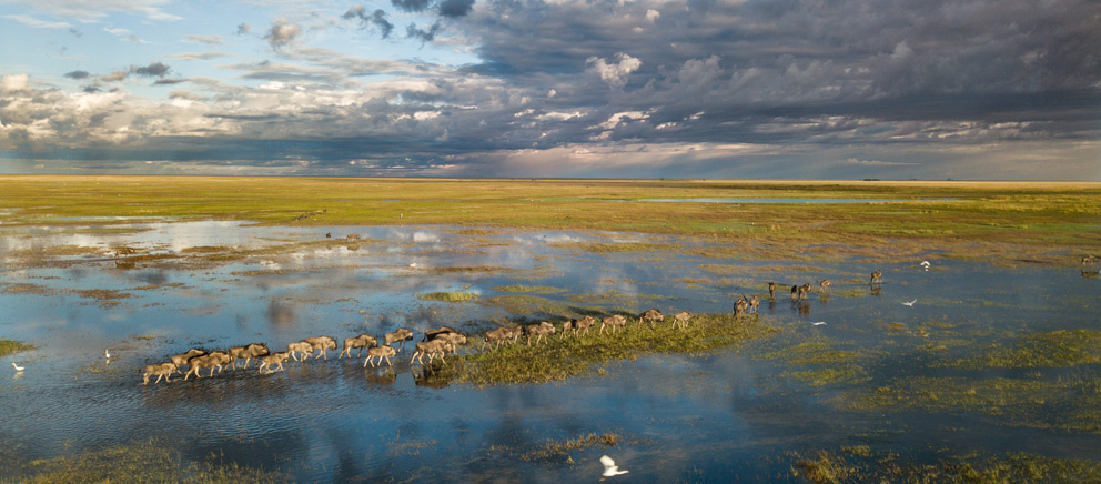 Liuwa Plains Zambia