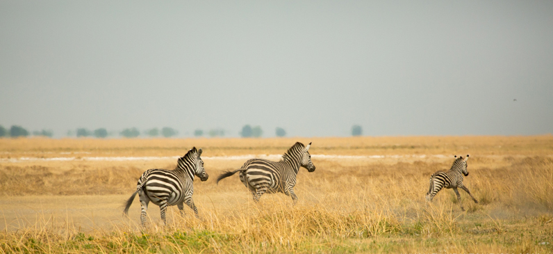 Liuwa Plains Zambia