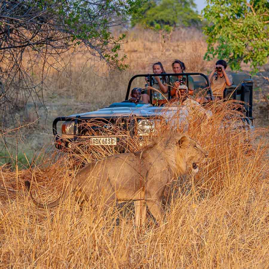 North Luangwa National Park Zambia