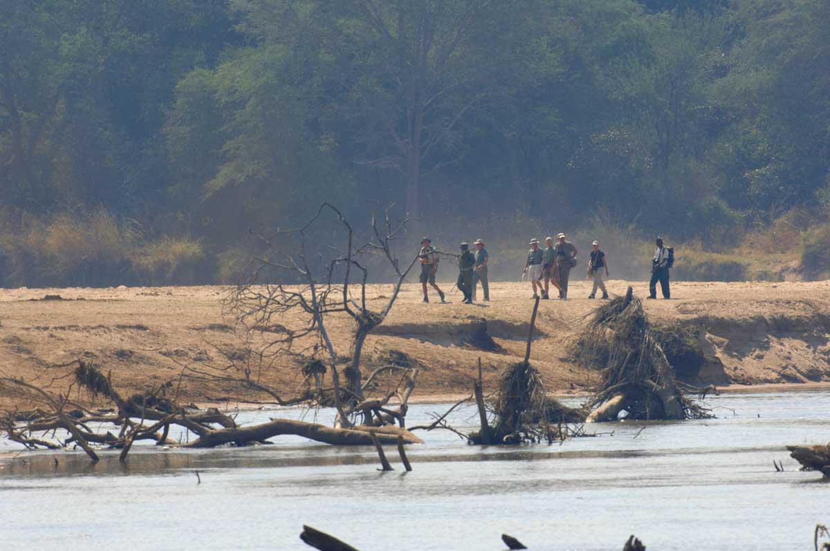 North Luangwa National Park Zambia