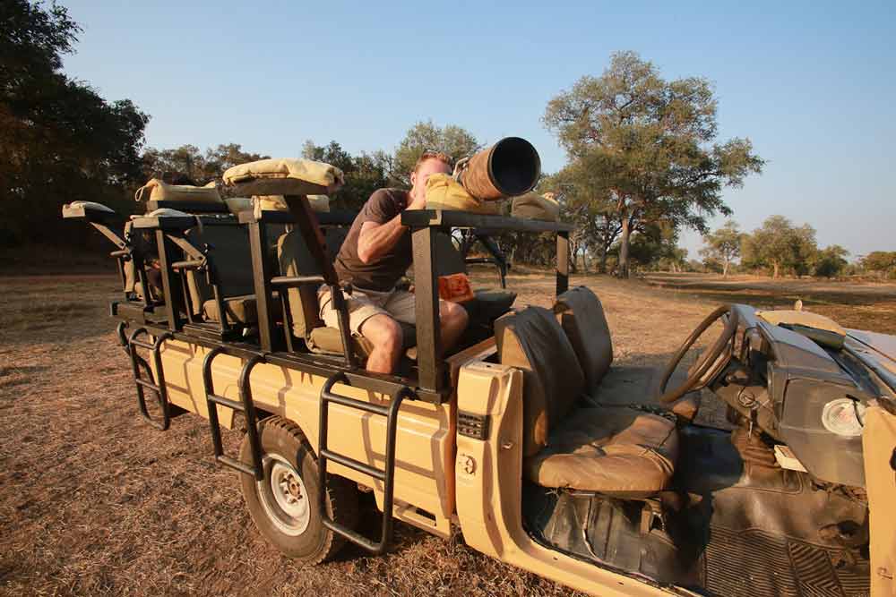 NSouth Luangwa National Park Zambia