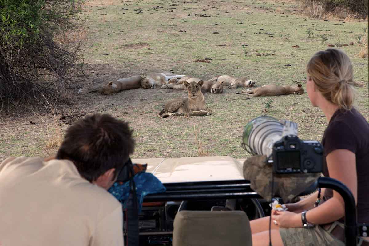 South Luangwa National Park Zambia