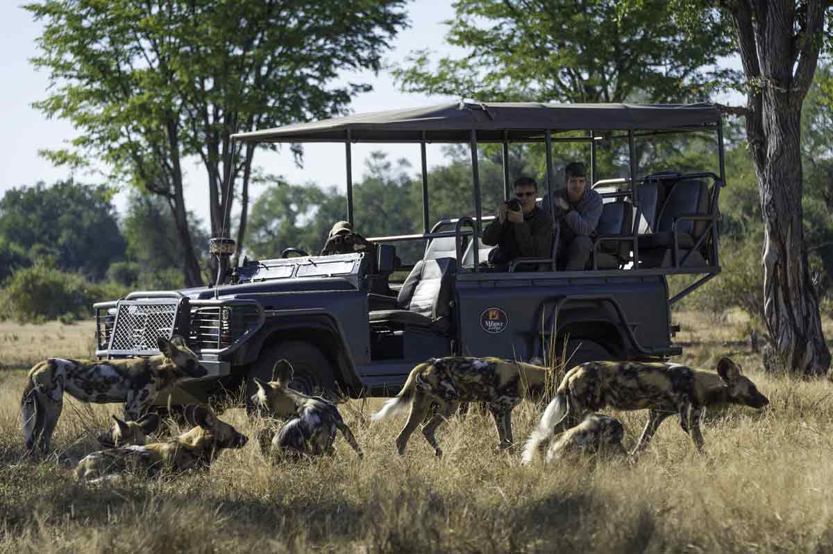 South Luangwa National Park Zambia