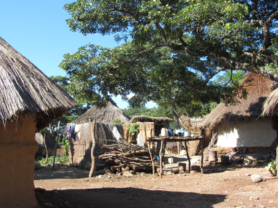 Tengenenge Art Village - beeldhouw workshop Zimbabwe